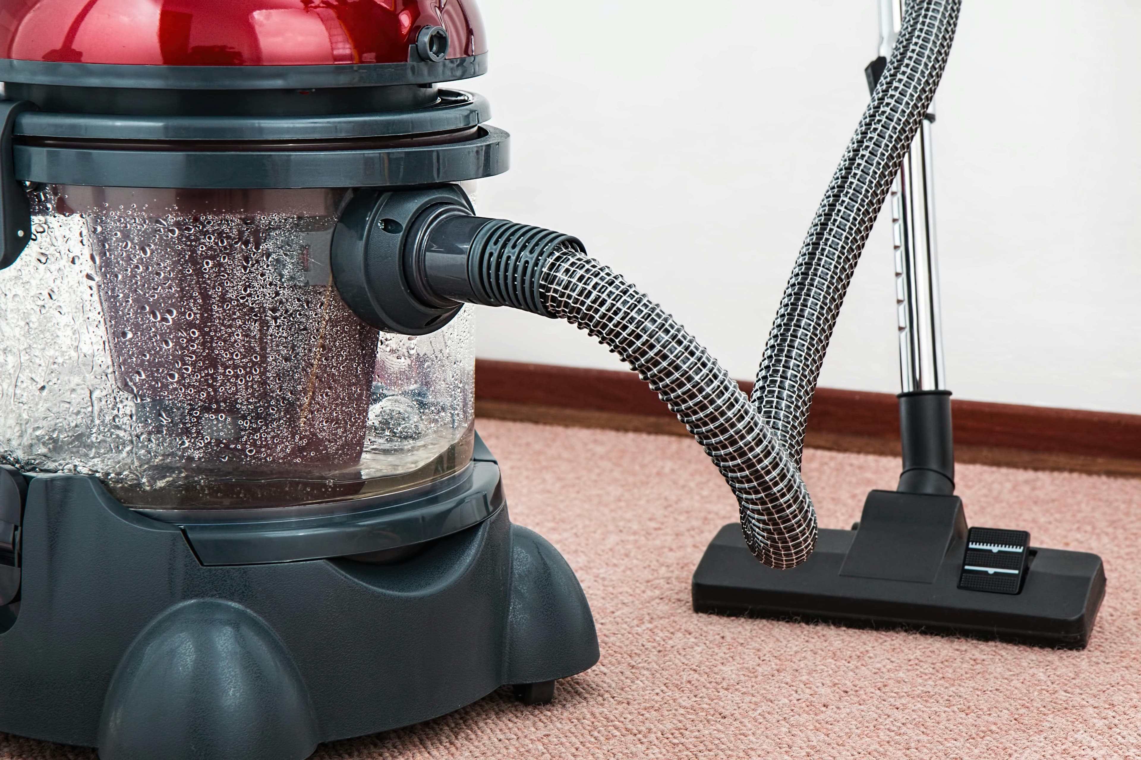 Carpet Steam Cleaning in Perth: What to Expect & How to Prepare
