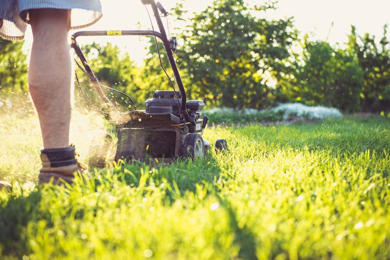 Gardening & Lawn Maintenance